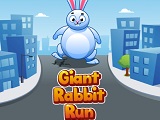 Giant rabbit run